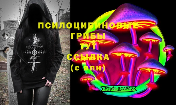 крисы Алзамай