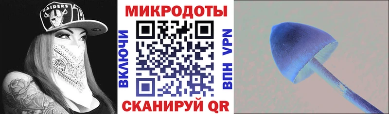Псилоцибиновые грибы мухоморы  Бежецк 