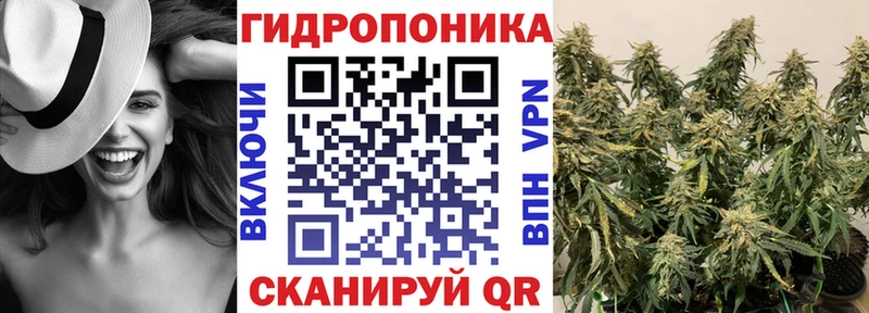 Бошки Шишки Amnesia  Бежецк 
